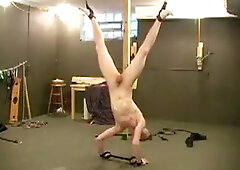 Twink Sucking Cock In Car