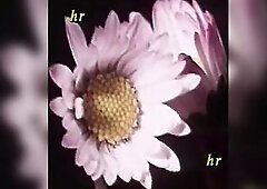 A real try-out of unpublished and uncensored Italian porn from the 90s made with natural housewives with shaggy cunts who love real sex