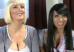 TS Honey Foxxx Scams a Scammer in take This Reward and Fuck Me