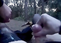 nella pineta di ostia 4