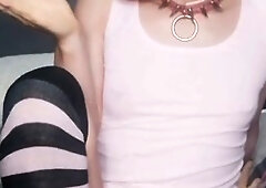 Young sissy, stupid sissy