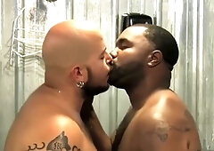 Bear blow, homo, faphouse