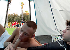 Appealing twink sucks cock with lust and constantly asks for jizz