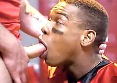 Ebony Jock Adrian Hart