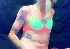 Wondrous Feminized Room Honey