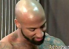 Hulking ebony bear sucks