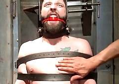 Hd videos, tick, beards