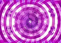 Command Training 101 Teaser