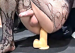 Sissy CD Kassy J