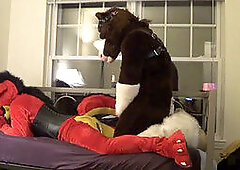 Young and old crossdressers in fursuits engage in steamy sex play