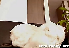 beautifulhardcock webcam tranny