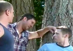 Falcon Studios: Chained to Desire