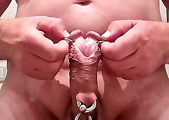 sls-frank show my subincision, split glans and piercings