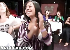 DANCING BEAR - Rod Slangin' Gigolos Putting On Wild Show For Gang Of Slutty Strumpets