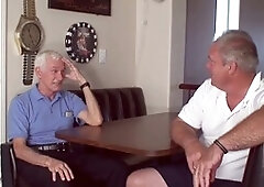 Inexperienced, wooly, hairy