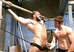Sadism & masochism, blow-job, in english