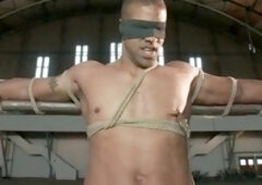 Faphouse, anal masturbation, the first time