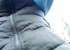 Enchanting Relief in The Woods