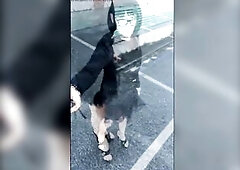 Andreina, a fetish cross dresser, walks down the street in a little transparent petticoat wearing very high heels in a fetishist attitude