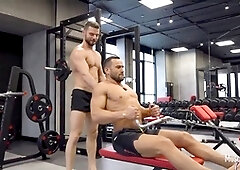 Muscle, muscledom, gay-muscle