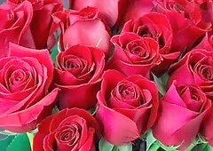 Steamy session with aunt in the bedroom