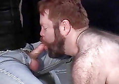 Nasty Bear Giving Head To Master