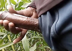 Indian Village Guy Jerking-off in the Corn Field