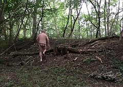 Wix Im Wald Gestoert