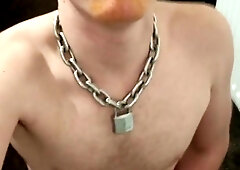 Slave pup earing urinate food from cup