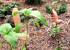 Nicole Kitt, Isiah Maxwell And Alexis Fawx In Zz Hookups: Alexis & Nicole / 23.3.2023