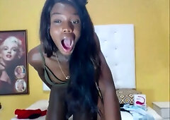 Black tranny gets fucked doggystyle on her cam show