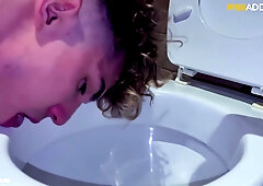 Nikki Sbfh Cleans Public Toilets With His Tongue And Drinks Piss Nikki Sbfh