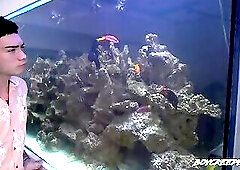 Boy Creeper Swipe Right for Creeper