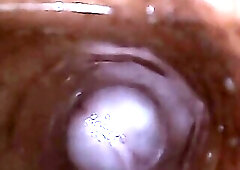 Hot cock flash light inside view.