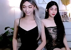 Amateur shemale tranny slammed in the ass