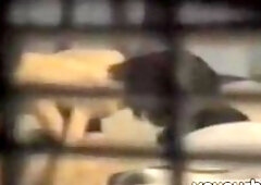 Lesbian babes have fun in voyeur video made through window