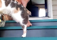 Solo masturbation and the foot fetish