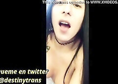 Chibolo that I met in the bar that rich sucks my butt - destiny trans