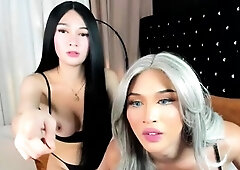 Shemale tranny amateur rammed in butt