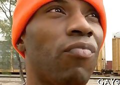 Great gay interracial fun