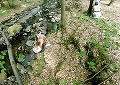 Interrupted Sex in Public Park - Caught by Strangers at Oral Job in Forest