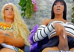 Naughty Shemale Couples Deep Sucked Cock