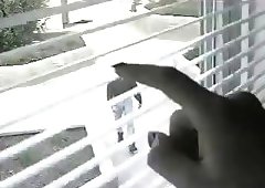 Stunning shemale with a perfect ass loves having a good fuck