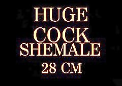 TS with huge dick and yummy boobs needs your attention