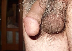 Japanese mature man erect penis Slide show