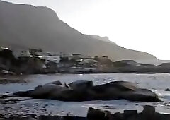 Kurt Rogers - Cape Town Sun Fuckers