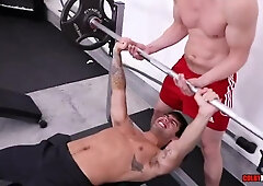 Wolf Ravages Tramp on Gym