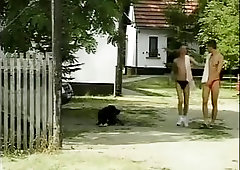 Randy Gay Guys Outdoor Fucking