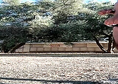 Buttslutboytoy walks around in public with a microbikini on and flashes drivers!