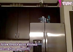 voluptuous American shemale hottie with pretty tits and round ass teases on webcam